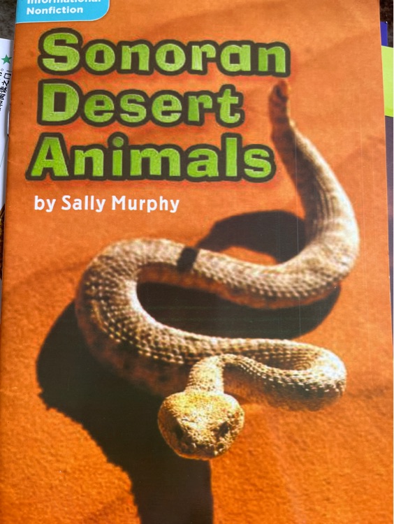 Sonoran desert animals