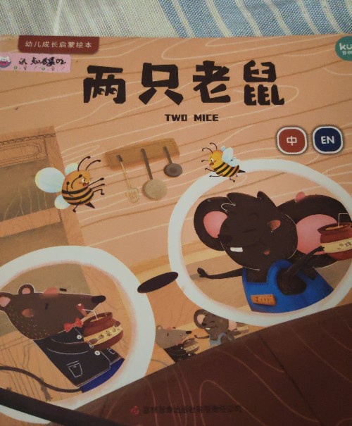 兩只老鼠