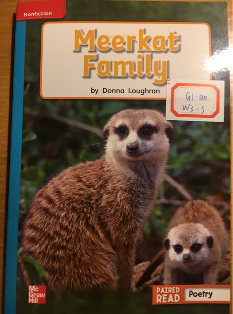 Meerkat Family