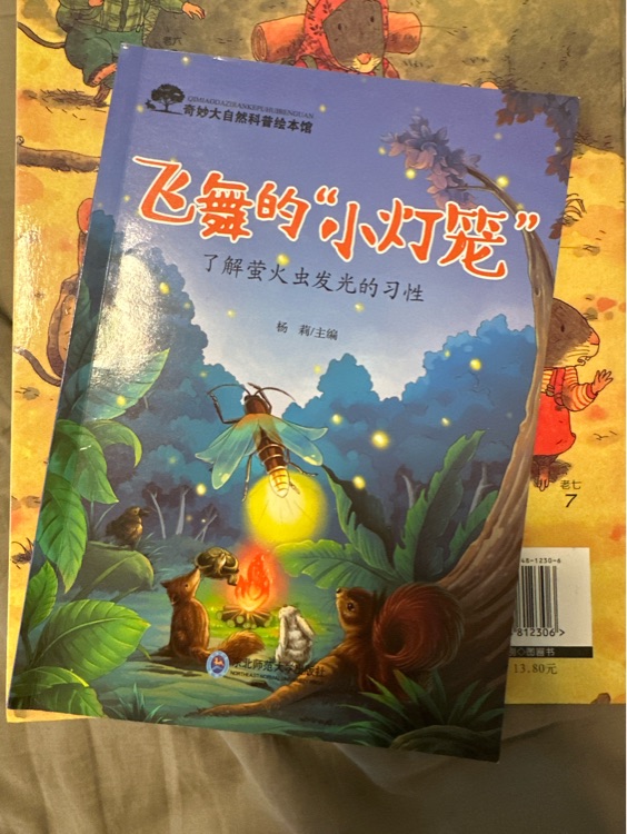 飛舞的小燈籠