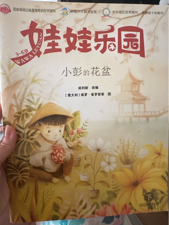 小彭的花盆