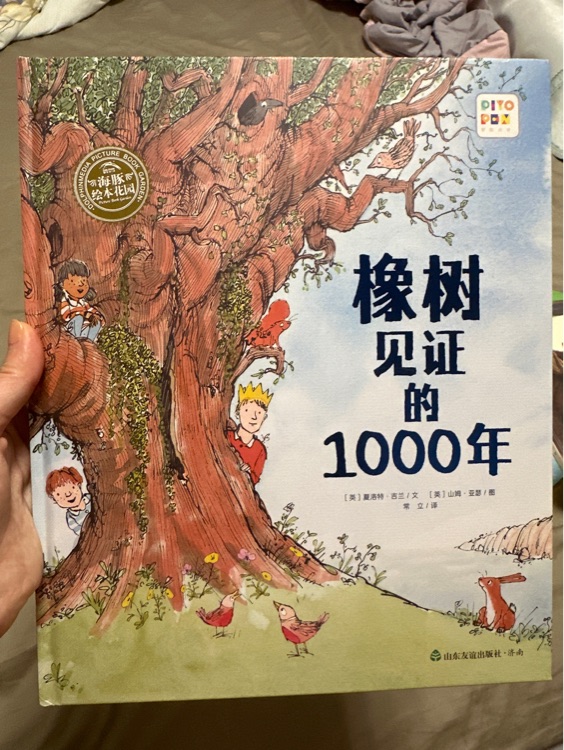 橡樹見證的1000年