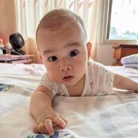 夏夏夏天520