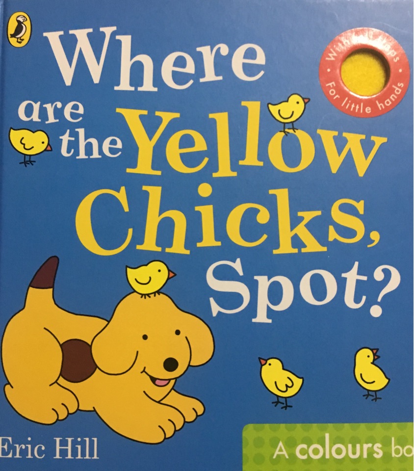 Where are the yellow chicks,spot?