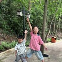 南尋半夏