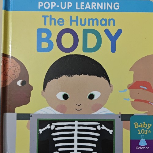 The Human body