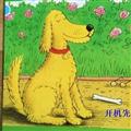 河北佳爸