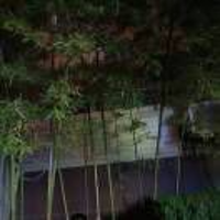 敏潔5074340179