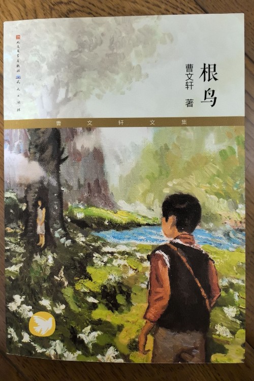 曹文軒畫本·根鳥·掉進峽谷的女孩