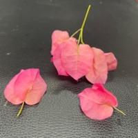 木溪