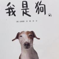哞哞哞哞