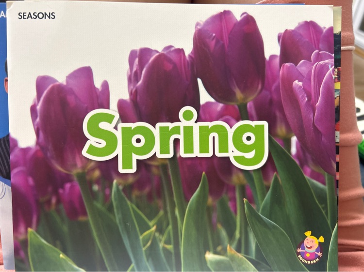 Spring(seasons)