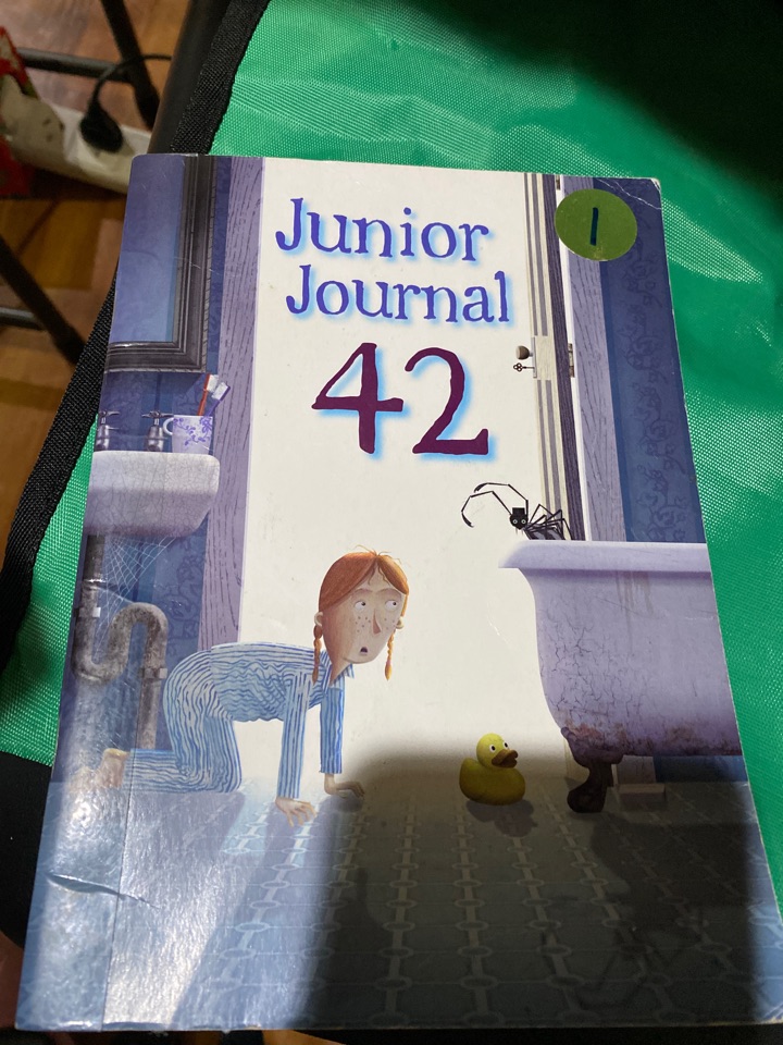 junior journal 42