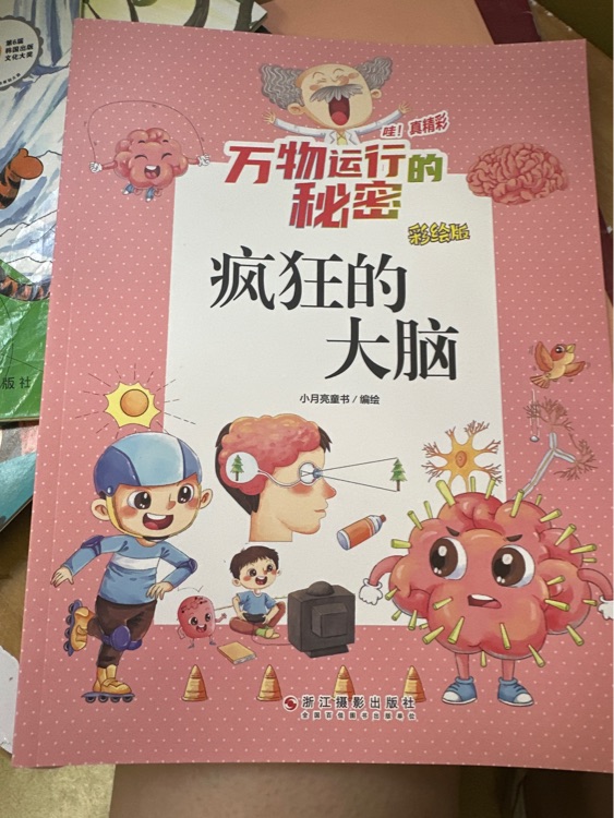 瘋狂的大腦