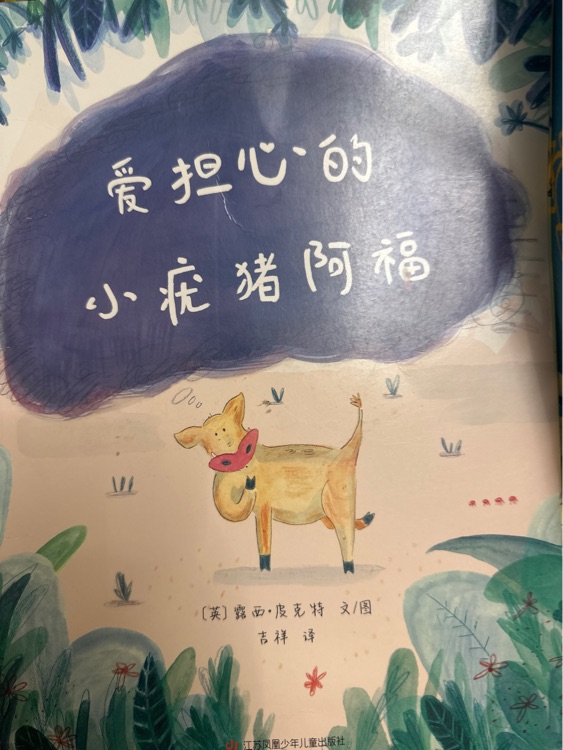 愛擔心的小疣豬阿福