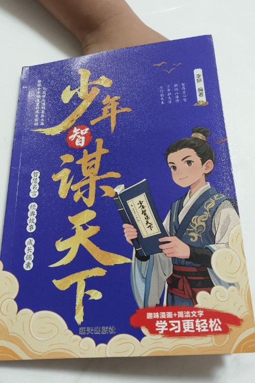 少年智谋天下