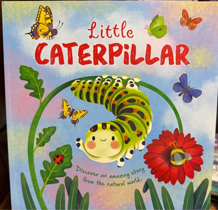 Little CATERPILLAR