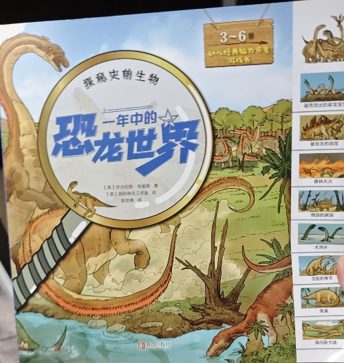 幼兒經(jīng)典腦力開發(fā)游戲書.一年中的恐龍世界