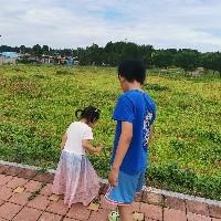 喬治淘淘