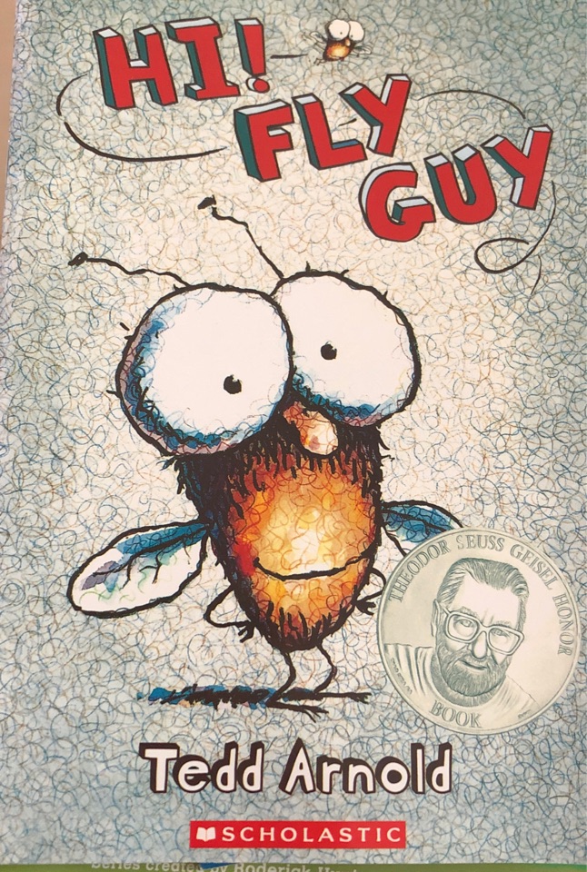 Hi fly guy