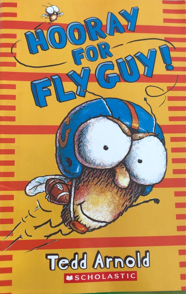Hooray for fly guy