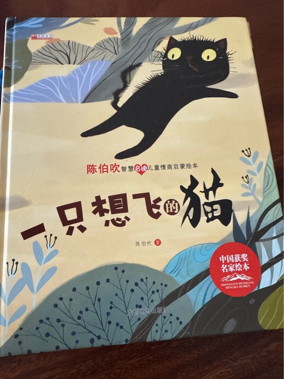 一直想飛的貓