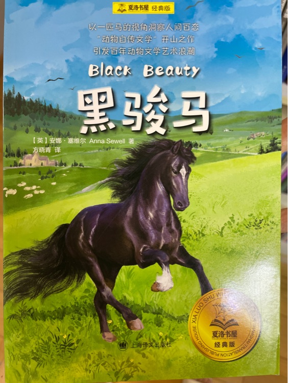 黑駿馬