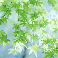 喜歡看書的玉米