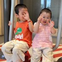 多肉多米