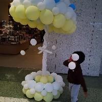 Jostar