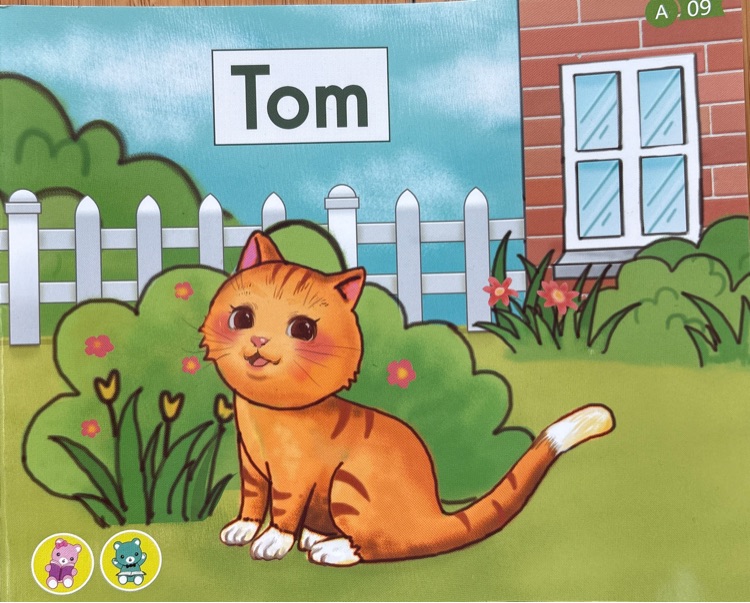 Heinemann Gk-09: Tom