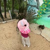 桐寶兒08