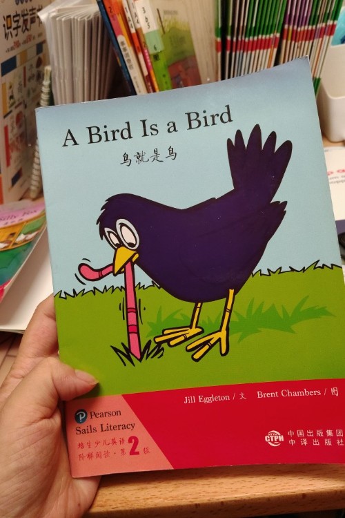 a bird  is  a bird