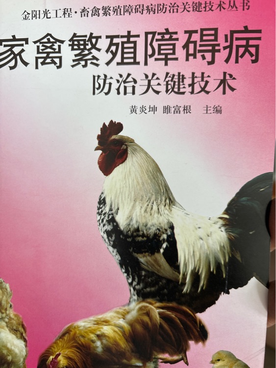 家禽繁殖障礙病