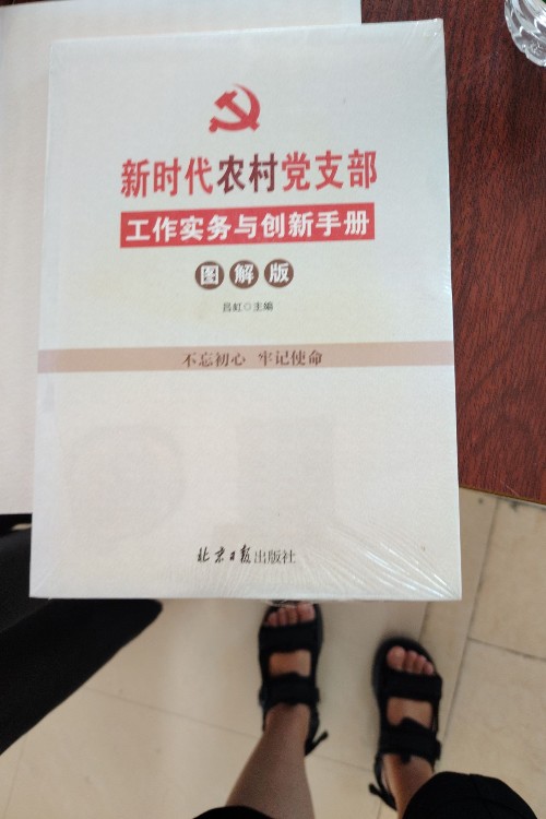 新時(shí)代農(nóng)村黨支部工作實(shí)務(wù)與創(chuàng)新手冊。