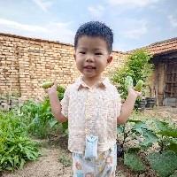 小阿多的書架