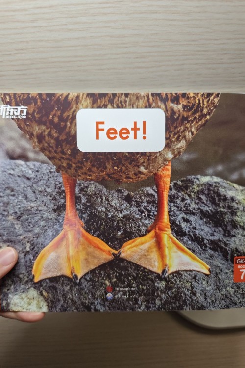 Feet