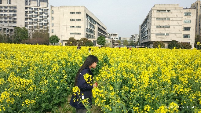 既然春光無限，緣