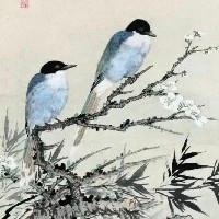 星辰追光