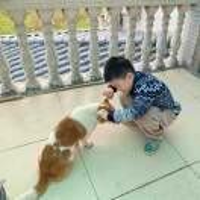 飼養(yǎng)員7156695598