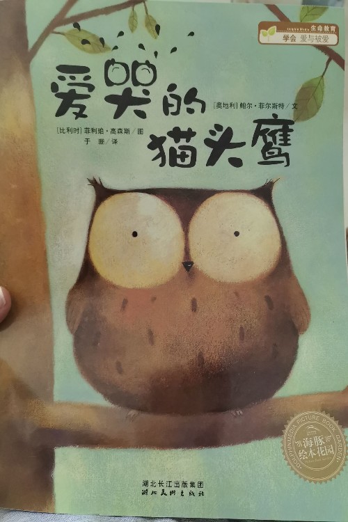 愛哭的貓頭鷹