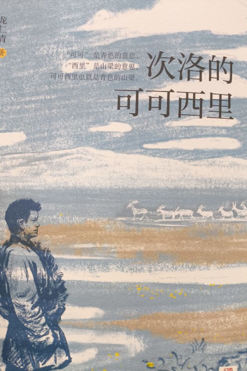 次洛的可可西里