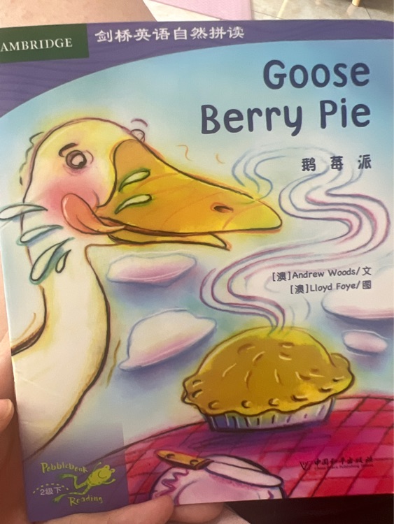 Goose Berry Pie