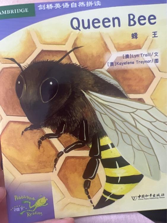 Queen Bee