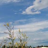 愛(ài)讀書(shū)愛(ài)打游戲的