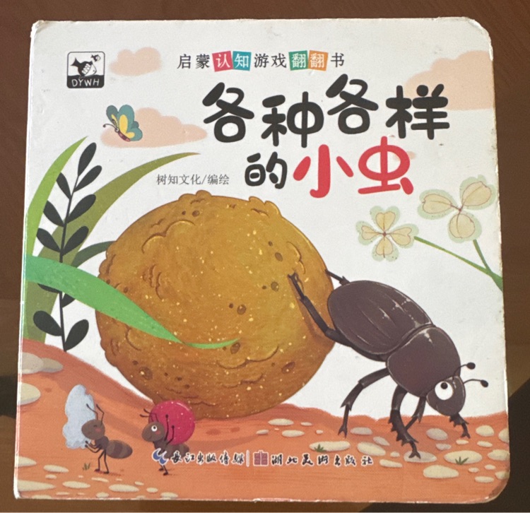 各種各樣的小蟲