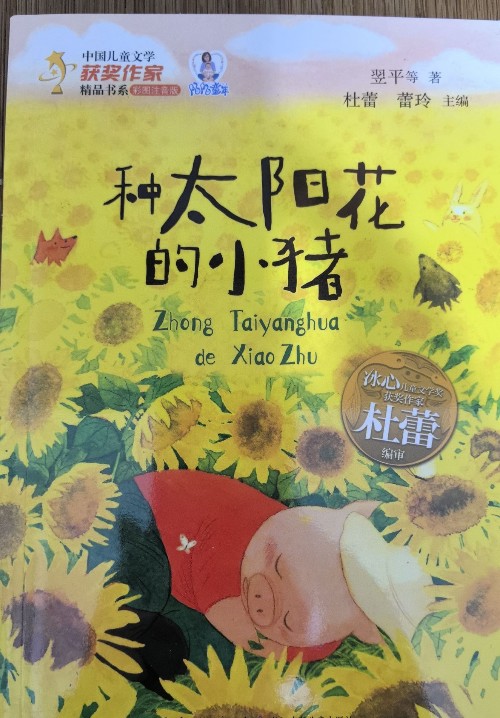 種太陽(yáng)花的小豬