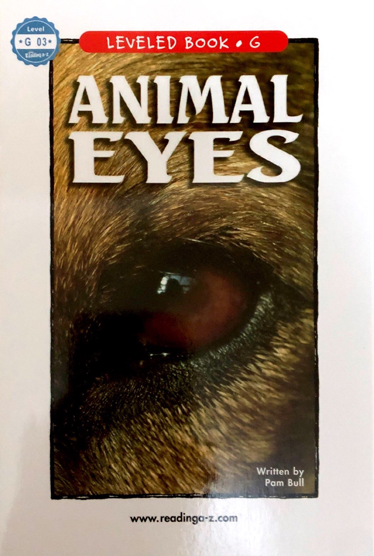 animal eyes