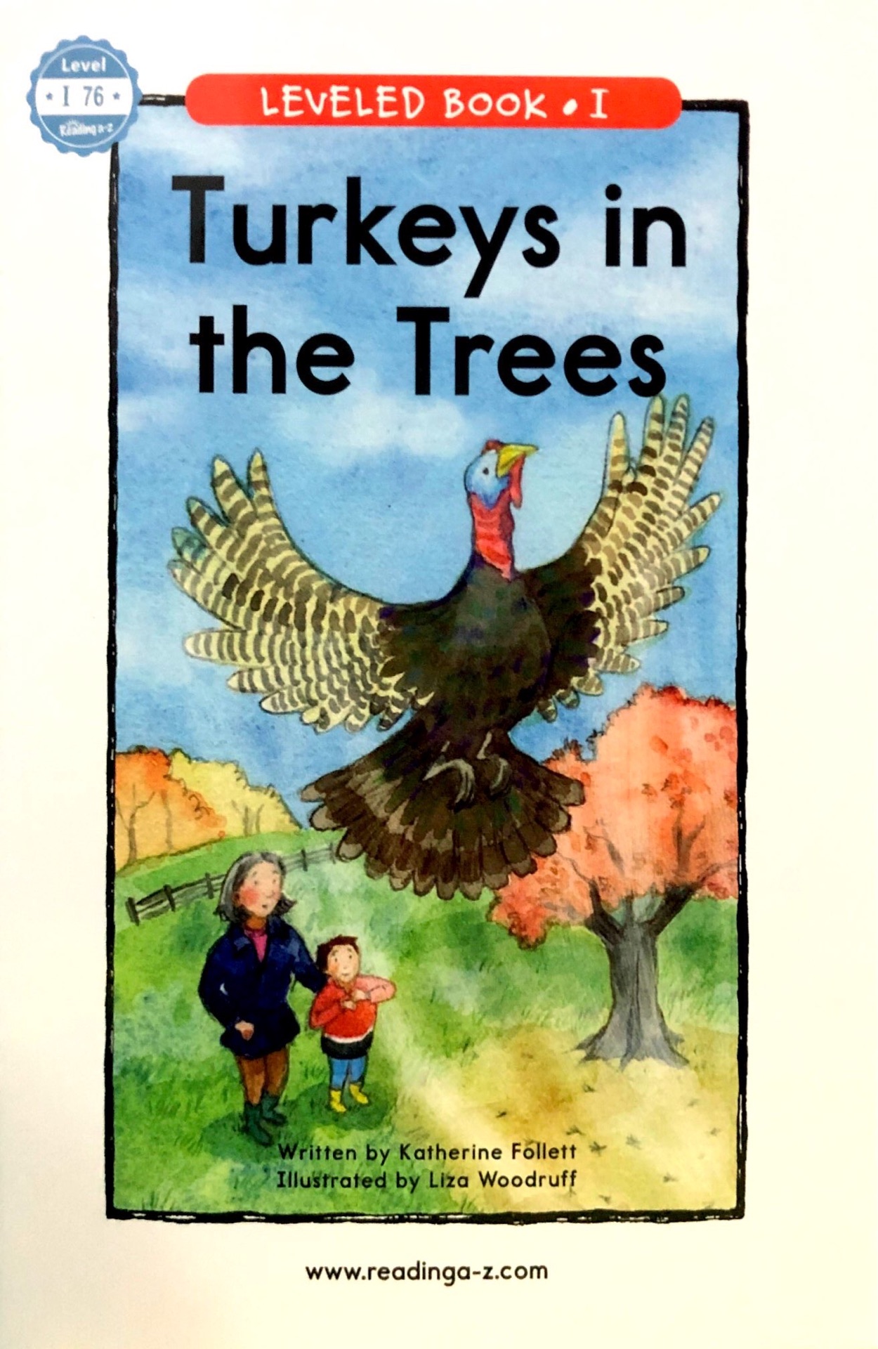 turkeys in the trees