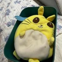 恒恒小baby
